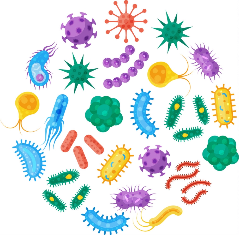 Medical Degree Course